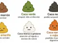 Ilustración de heces de colores: marrón (normal), verde (infección), negra (sangrado), amarilla (algo va mal), blanca/gris (hígado/calcio) y naranja/rojiza (digestivo).
