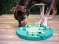 Perro concentrado olfateando un juguete interactivo, ideal para juegos de olfato para perros.