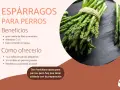 Los perros pueden comer espárragos. La imagen muestra espárragos frescos, indicando sus beneficios y cómo ofrecérselos a tu mascota.
