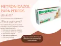 Caja de Metronidazol 500 mg para perros y gatos, un antiparasitario para tratar diversas infecciones.