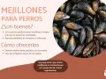 Los perros pueden comer mejillones cocidos y sin concha. Son una fuente de vitaminas y minerales. Evita los mejillones en escabeche.