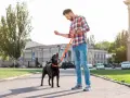 Hombre con perro negro, entrenando con correa naranja. El perro mira expectante, quizás porque mi perro tira de la correa y busca recompensa.