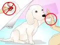 Un perro blanco da la pata a una mano. Aprende como enseñar trucos a un perro sin usar golosinas.