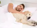 Un hombre duerme abrazado a su perro. A pesar de que mi perro tiene garrapatas, duerme conmigo en la cama.