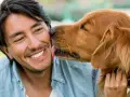 Un hombre sonríe mientras su perro le lame la cara. Es un gesto de cariño, una muestra de por qué mi perro me lame.