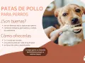 Un perro feliz muerde una pata de pollo, un snack saludable y seguro para perros.