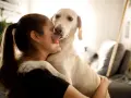 Mi perro me da muchos besos, lamiendo mi cara con ternura.