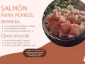 Un tazón lleno de trozos de salmón fresco y camarones. Los perros pueden comer salmón, es rico en nutrientes.