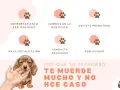 Un cachorro te muerde mucho y no hace caso. Explora las razones: comportamiento, dentición, destete, socialización, conducta o agresividad.