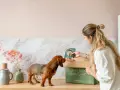 Una mujer le da a su teckel un paquete de comida para perros. Descubre qué dar de comer a un teckel con esta deliciosa opción.
