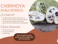 Chirimoya para perros: la pulpa sí, sin pepitas ni cáscara. Aporta nutrientes, pero no es la mejor opción.