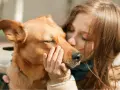 Una chica besa a su perro, que cierra los ojos, sintiendo el amor. Es la pura felicidad que siente un perro cuando le das un beso.