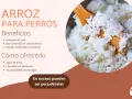 Arroz para perros: beneficios y cómo ofrecerlo. Los perros pueden comer arroz, es una buena fuente de vitaminas y carbohidratos.