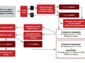 Diagrama de flujo para diagnosticar y tratar giardia en perros con síntomas gastrointestinales. Incluye pruebas, resultados y tratamientos.