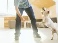 Mi perro me salta encima y me muerde los tobillos jugando.