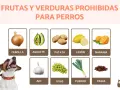 Lista de frutas y verduras prohibidas para perros: cebolla, aguacate, patata, limón, naranja, ajo, uvas, puerro y pasas.