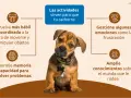 Cachorro adorable aprende con actividades: mejora coordinación, memoria, manejo de emociones y conocimiento del entorno.