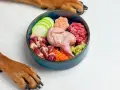 Un tazón azul con ingredientes para comida casera para perros: codorniz, corazones de pollo, carne picada, zanahoria, calabacín y apio. Patas de perro observan.