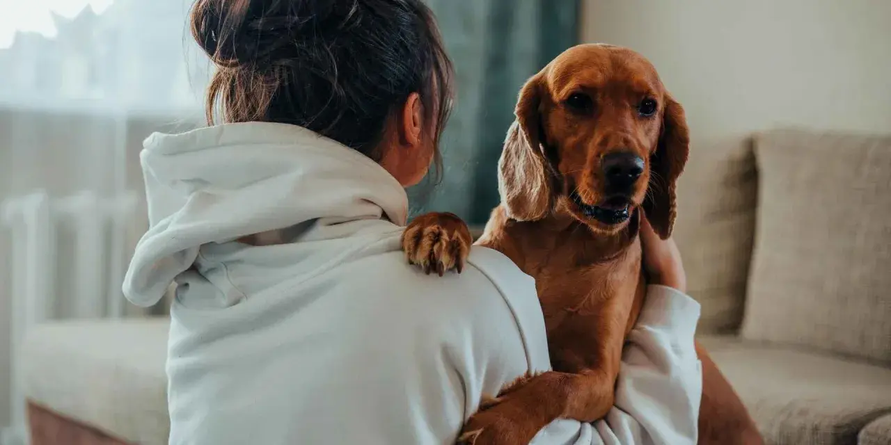 Un perro marrón abraza a su dueña, una forma tierna de saber si mi perro me quiere. Su pata descansa en su hombro.