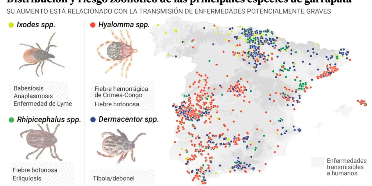 Mapa de España con puntos de colores que indican la distribución de distintos tipos de garrapatas y las enfermedades que transmiten.