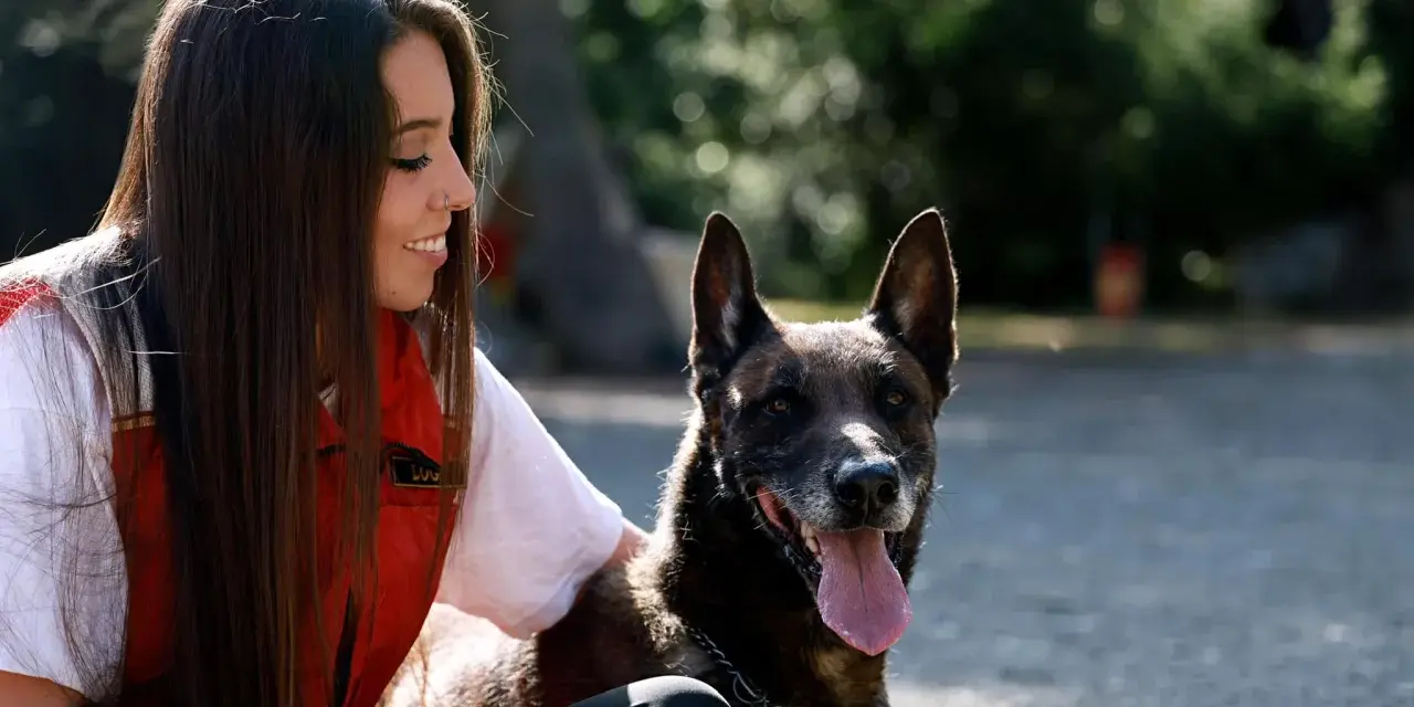 Una chica sonríe mientras acaricia a su perro, pero él parece ajeno, como si mi perro me ignorara.