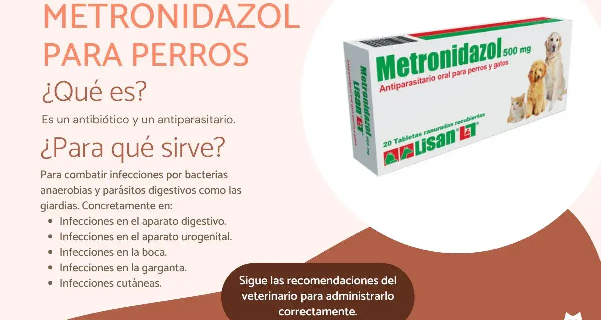Caja de Metronidazol 500 mg para perros y gatos, un antiparasitario para tratar diversas infecciones.