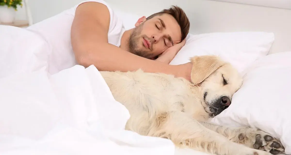 Un hombre duerme abrazado a su perro. A pesar de que mi perro tiene garrapatas, duerme conmigo en la cama.