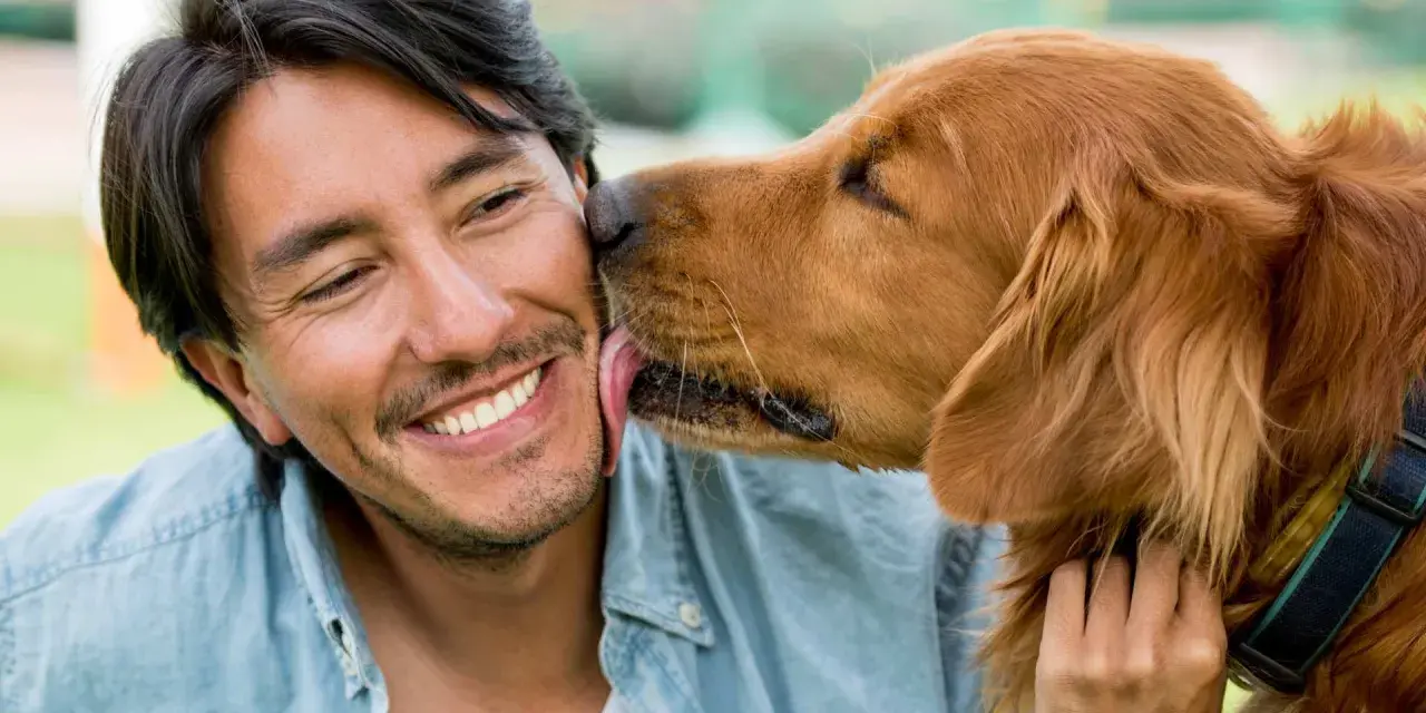 Un hombre sonríe mientras su perro le lame la cara. Es un gesto de cariño, una muestra de por qué mi perro me lame.