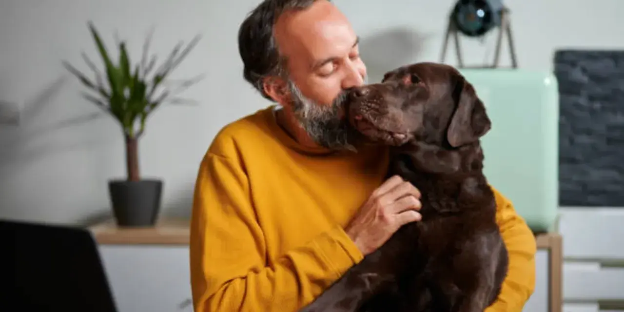 Hombre con barba besa a su perro chocolate. "No puedo seguir teniendo a mi perro, ¿qué hago?" se pregunta, abrazándolo.