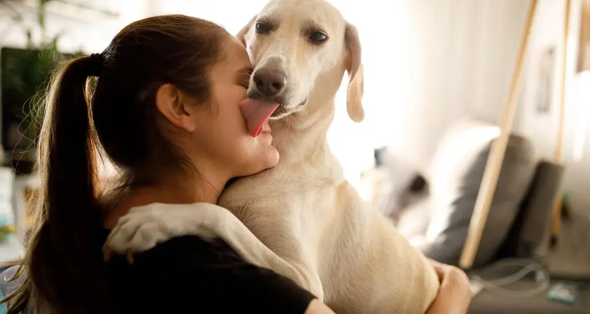 Mi perro me da muchos besos, lamiendo mi cara con ternura.