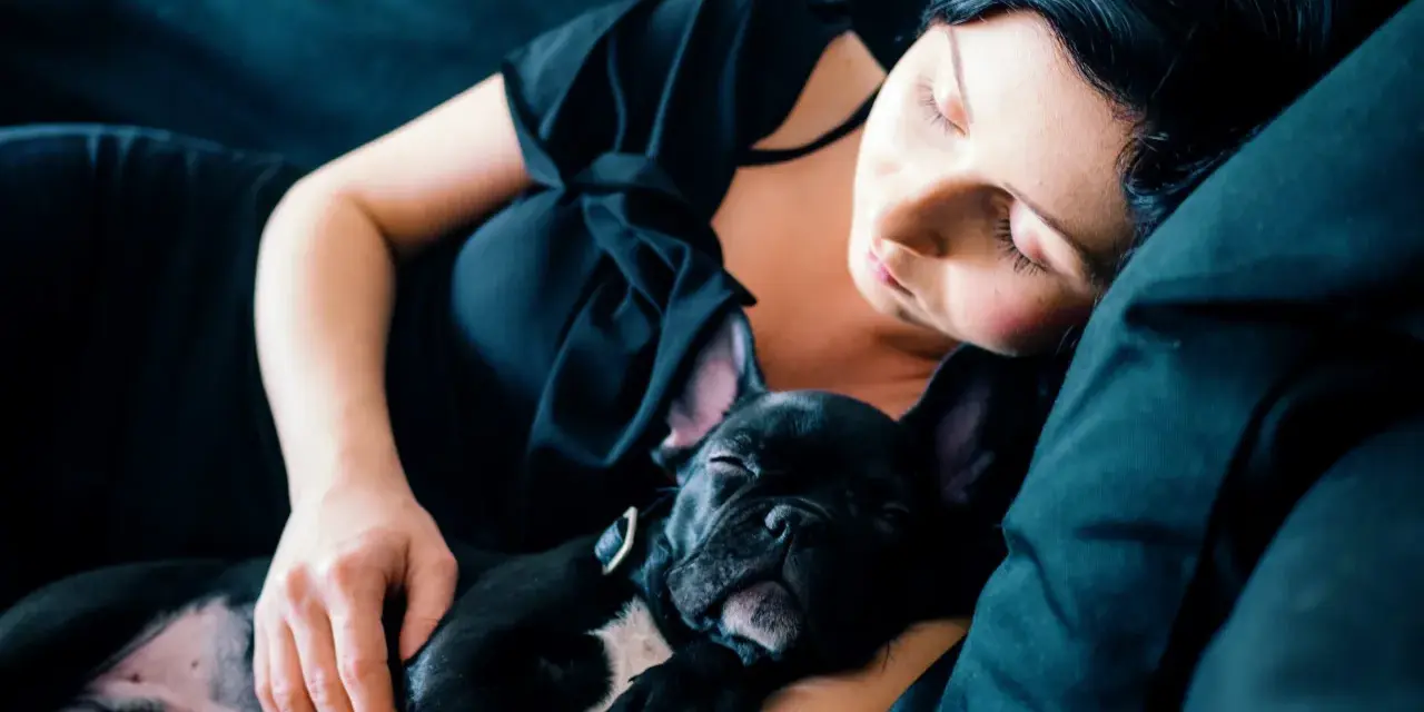 Una mujer duerme con su cachorro de bulldog francés negro. Mi perro se tumba a mi lado, ambos en un abrazo tierno y reconfortante.