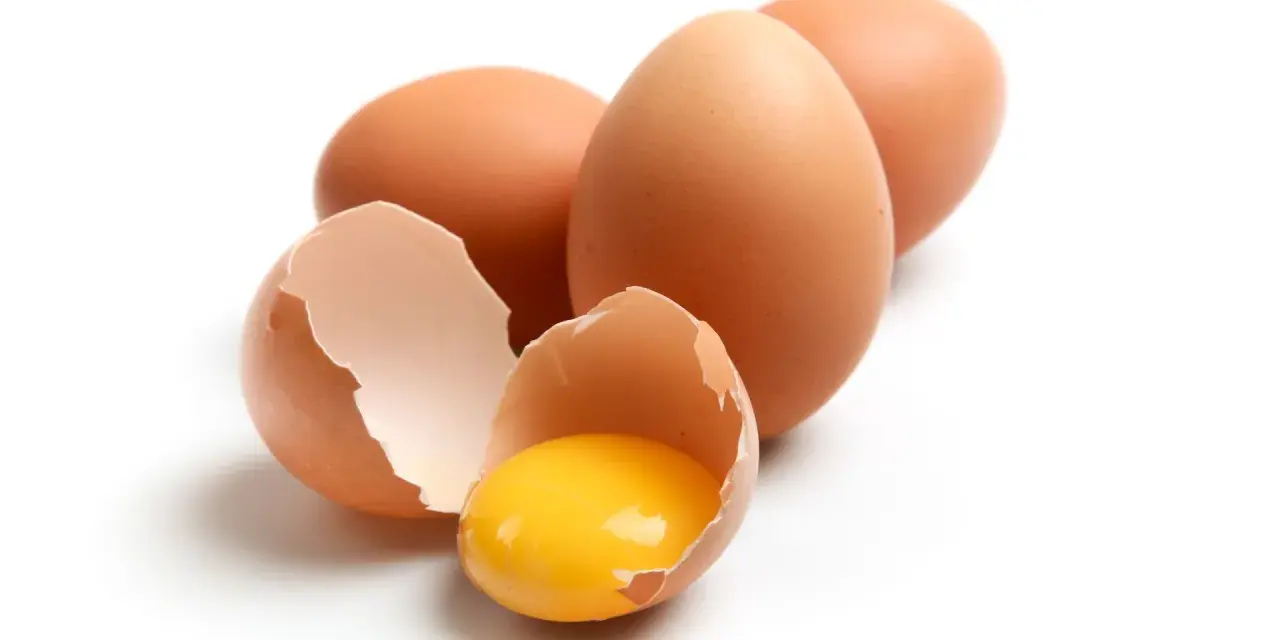 Huevos marrones, uno roto mostrando la yema brillante. ¡Un manjar que los perros pueden comer!