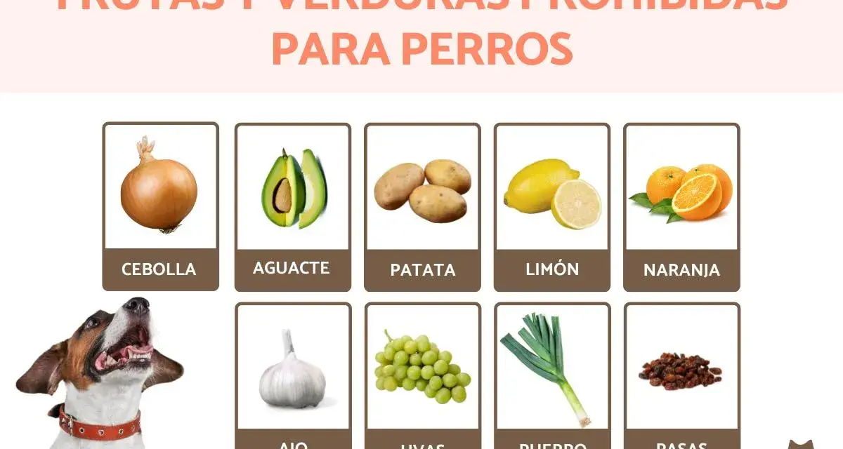 Lista de frutas y verduras prohibidas para perros: cebolla, aguacate, patata, limón, naranja, ajo, uvas, puerro y pasas.
