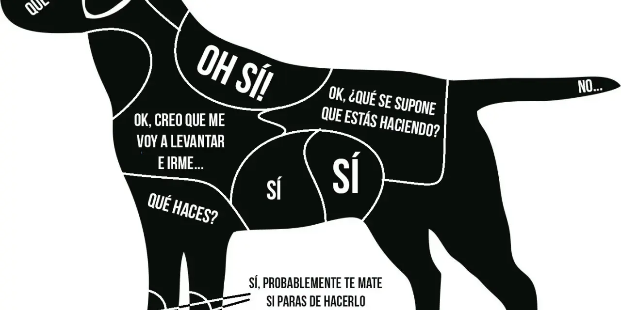 Mapa de zonas de caricias para un perro, indicando dónde acariciar para que se duerma y dónde no.
