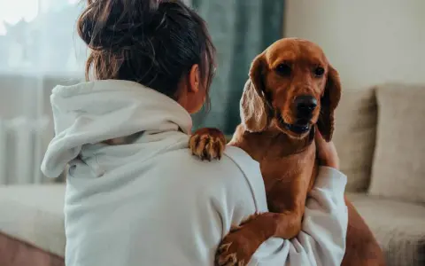 Un perro marrón abraza a su dueña, una forma tierna de saber si mi perro me quiere. Su pata descansa en su hombro.
