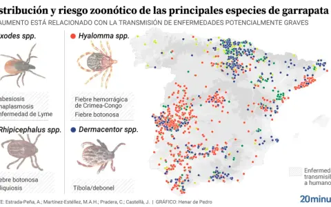 Mapa de España con puntos de colores que indican la distribución de distintos tipos de garrapatas y las enfermedades que transmiten.