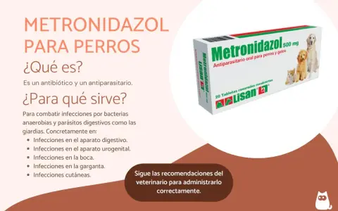 Caja de Metronidazol 500 mg para perros y gatos, un antiparasitario para tratar diversas infecciones.