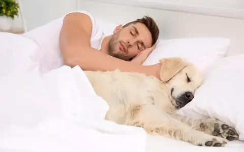 Un hombre duerme abrazado a su perro. A pesar de que mi perro tiene garrapatas, duerme conmigo en la cama.