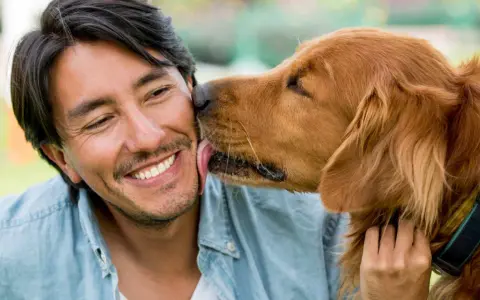 Un hombre sonríe mientras su perro le lame la cara. Es un gesto de cariño, una muestra de por qué mi perro me lame.