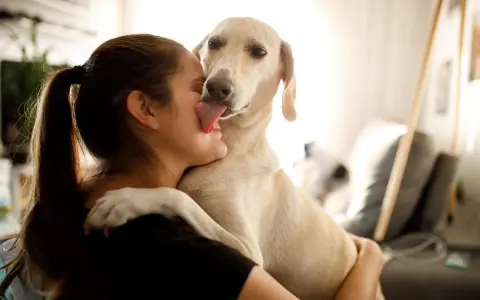 Mi perro me da muchos besos, lamiendo mi cara con ternura.