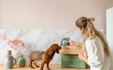 Una mujer le da a su teckel un paquete de comida para perros. Descubre qué dar de comer a un teckel con esta deliciosa opción.