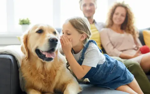 Niña susurra secretos a un golden retriever, como si los perros se comunicaran entre ellos. Padres sonríen al fondo.