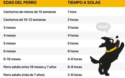 Tabla que indica el tiempo máximo recomendado para dejar al perro solo en casa según su edad. Un perro feliz es un perro bien cuidado.