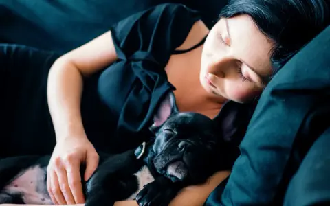 Una mujer duerme con su cachorro de bulldog francés negro. Mi perro se tumba a mi lado, ambos en un abrazo tierno y reconfortante.