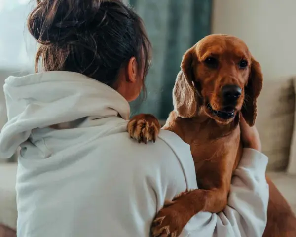 Un perro marrón abraza a su dueña, una forma tierna de saber si mi perro me quiere. Su pata descansa en su hombro.