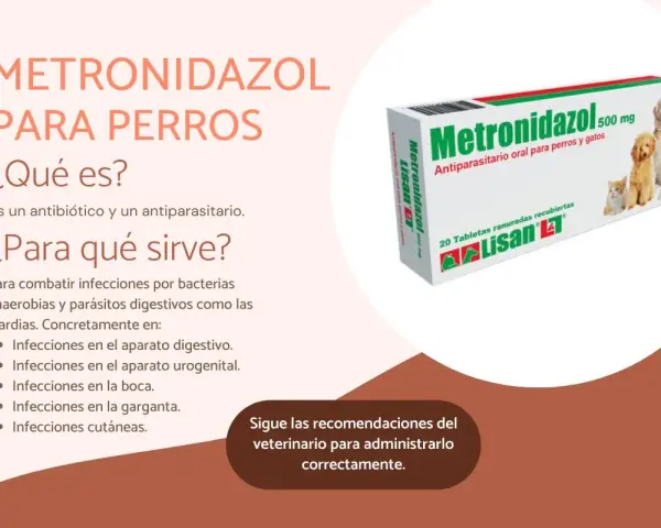 Caja de Metronidazol 500 mg para perros y gatos, un antiparasitario para tratar diversas infecciones.