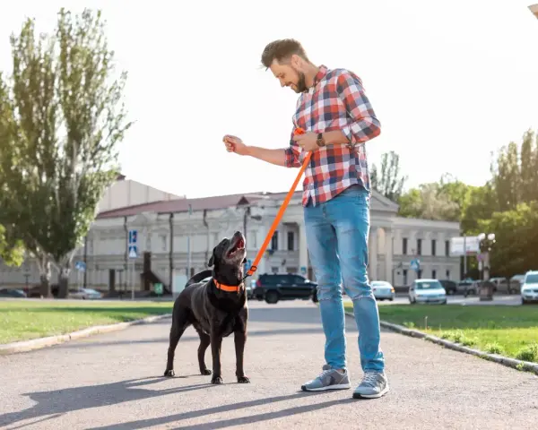 Hombre con perro negro, entrenando con correa naranja. El perro mira expectante, quizás porque mi perro tira de la correa y busca recompensa.