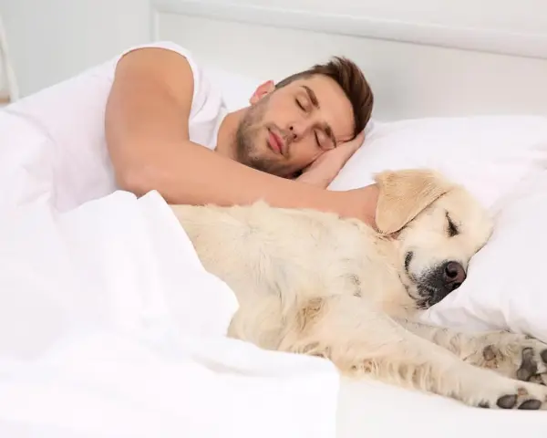 Un hombre duerme abrazado a su perro. A pesar de que mi perro tiene garrapatas, duerme conmigo en la cama.