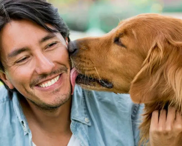 Un hombre sonríe mientras su perro le lame la cara. Es un gesto de cariño, una muestra de por qué mi perro me lame.