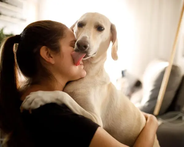 Mi perro me da muchos besos, lamiendo mi cara con ternura.